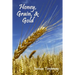 Honey, Grain, and Gold