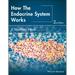 How the Endocrine System Works