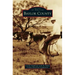 Baylor County