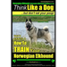 Norwegian Elkhound, Norwegian Elkhound Training AAA AKC Think Like a Dog But Don't Eat Your Poop! Norwegian Elkhound Breed Expert Training: Here's EXA