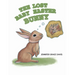 The Lost Baby Easter Bunny
