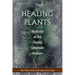 Healing Plants: Medicine of the Florida Seminole Indians