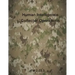 Human Intelligence Collector Operations