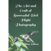 The Art and Craft of Successful Bird Flight Photography