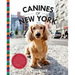 Canines of New York