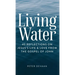 Living Water: 40 Reflections on Jesus's Life and Love from the Gospel of John
