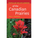 Popular Wildflowers of the Canadian Prairies