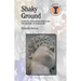 Shaky Ground: Context, Connoisseurship and the History of Roman Art