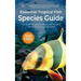 Essential Tropical Fish: Species Guide