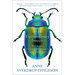 Extraordinary Insects: The Fabulous, Indispensable Creatures Who Run Our World