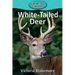 White-Tailed Deer