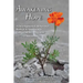 Awakening Hope. a Developmental, Behavioral, Biological Approach to Codependency Treatment.