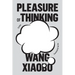 Pleasure of Thinking: Essays