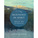 Wounded in Spirit: Advent Art and Meditations: A 25-Day Illustrated Advent Devotional for the Grieving with Scriptures and Stories Drawn from the Work