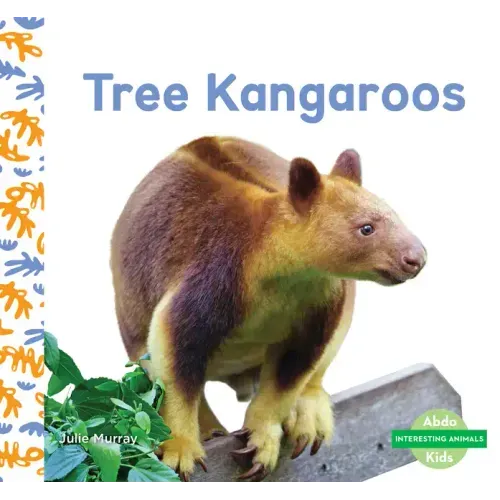 Tree Kangaroos