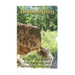 Beekeeping: Step-by-Step Guide For Beginner and Advanced Beekeepers: (Natural Beekeeping, Beekeeping Equipment, Beekeeping For Dummies)
