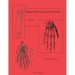 Finger Exercises for the Cello, Book One