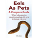 Eels As Pets: Where to buy, species, aquarium, supplies, diet, care, tank setup, and more! A Complete Guide!