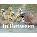 In Between
