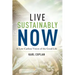 Live Sustainably Now: A Low-Carbon Vision of the Good Life