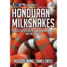 The Guide to Honduran Milksnakes: A Collective History of Honduran Milksnakes for the Hobbyist
