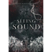 Seeing Sound