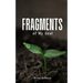 Fragments of My Soul