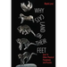 Why Cats Land on Their Feet: And 76 Other Physical Paradoxes and Puzzles