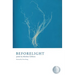 Beforelight