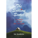 The Sublime Secret: Journey to the Big Picture