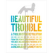 Beautiful Trouble: A Toolbox for Revolution