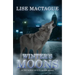 Winter's Moons