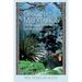 Original Meditation: The Aramaic Jesus and the Spirituality of Creation