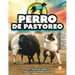 Perro de Pastoreo (Herding Dog)