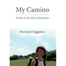 My Camino: 30 days on the Way of Saint James