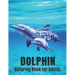 Dolphin Coloring Book for Adults: Dolphin Lovers for Boys & Girls Stress Relieving Designs for Adults Relaxation