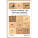 Top 12 Nymphs for Trout Streams: How, When, and Where to Fish Them
