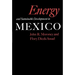 Energy and Sustainable Development in Mexico: Volume 16