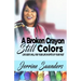 A Broken Crayon Still Colors: How to Live God's Will for Your Life in Spite of Your Past