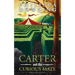 Carter and the Curious Maze: Weird Stories Gone Wrong