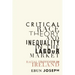 Critical Race Theory and Inequality in the Labour Market: Racial Stratification in Ireland