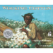 Working Cotton