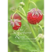 The Strawberry Room--: And Other Places Where a Woman Finds Herself