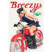 Breezy Stories