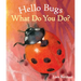 Hello Bugs, What Do You Do?