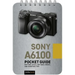 Sony A6100: Pocket Guide: Buttons, Dials, Settings, Modes, and Shooting Tips