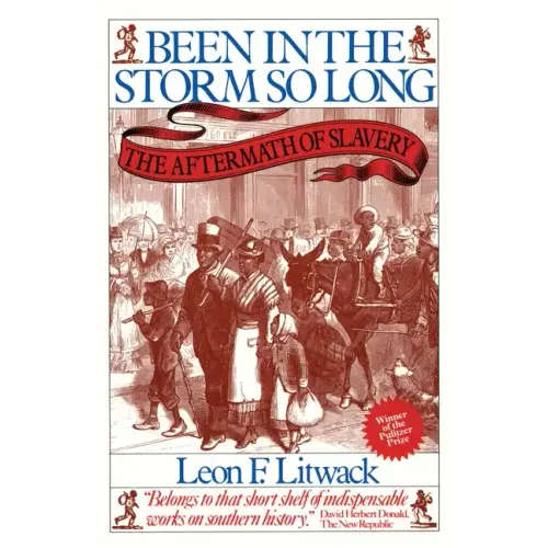 Been in the Storm So Long: The Aftermath of Slavery