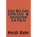 Cats Big Cats Little Cats & Interesting Cat Facts: Cats Big Cats Little Cats & Interesting Cat Facts