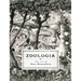 Zoologia: The Art of Stan Manoukian