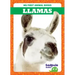 Llamas